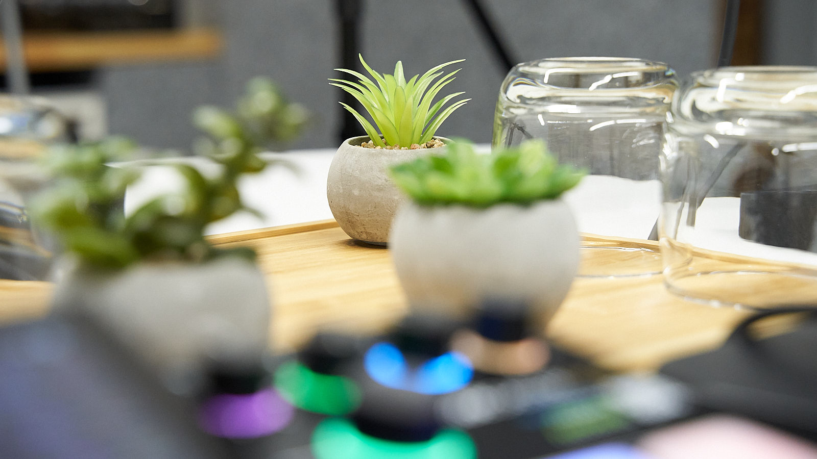 Nahaufnahme von kleine Pflanzen auf dem Tisch.